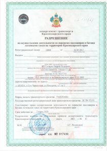 Разрешение на осуществление деятельности по перевозке пассажиров и багажа