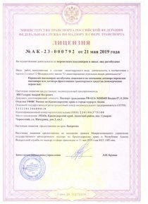Лицензия (нового образца)